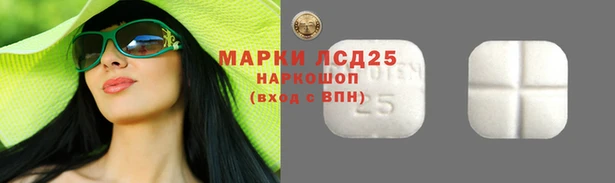 гашик Армянск
