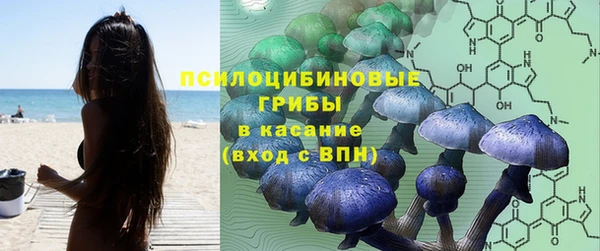 гашик Армянск