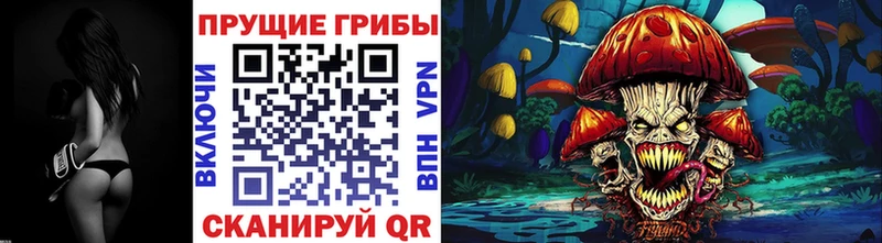 магазин продажи наркотиков  omg рабочий сайт  Галлюциногенные грибы MAGIC MUSHROOMS  Нурлат 
